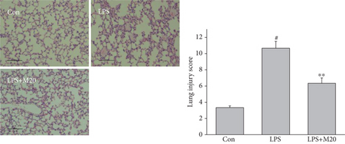 Details are in the caption following the image