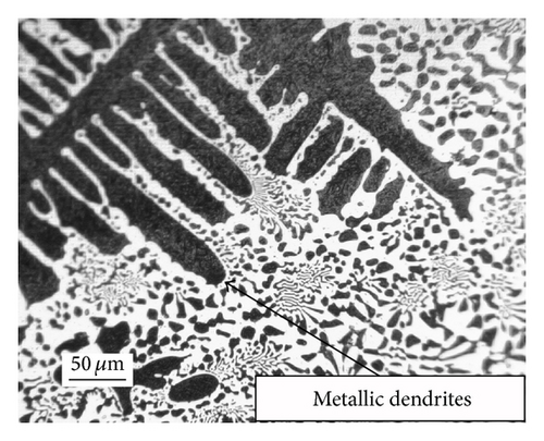 Details are in the caption following the image