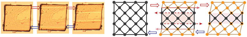 Fully Controllable Structural Phase Transition in Thermomechanical Molecular Crystals with a Very Small Thermal Hysteresis