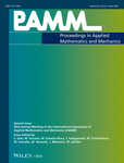 Special Issue: 95th Annual Meeting of the International Association of Applied Mathematics and Mechanics (GAMM) cover image