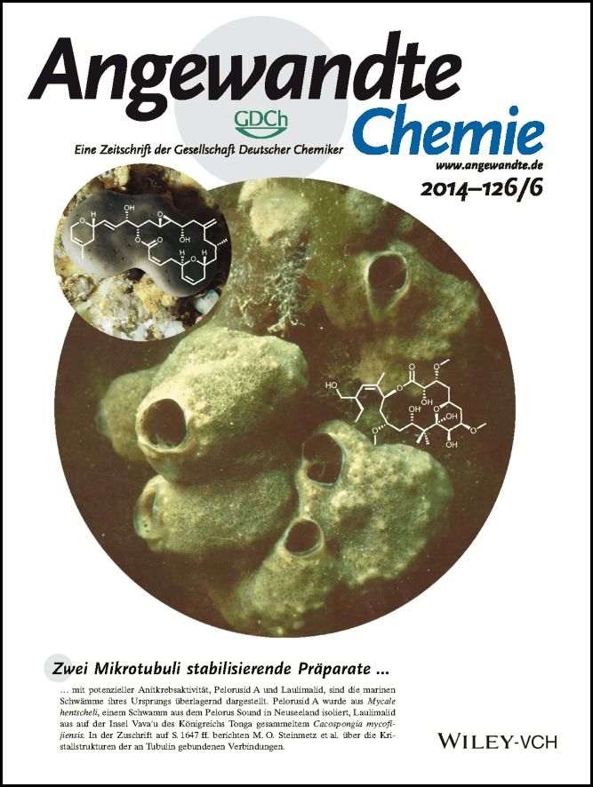 Rücktitelbild: Structural Basis of Microtubule Stabilization by Laulimalide and Peloruside A (Angew. Chem. 6/2014)