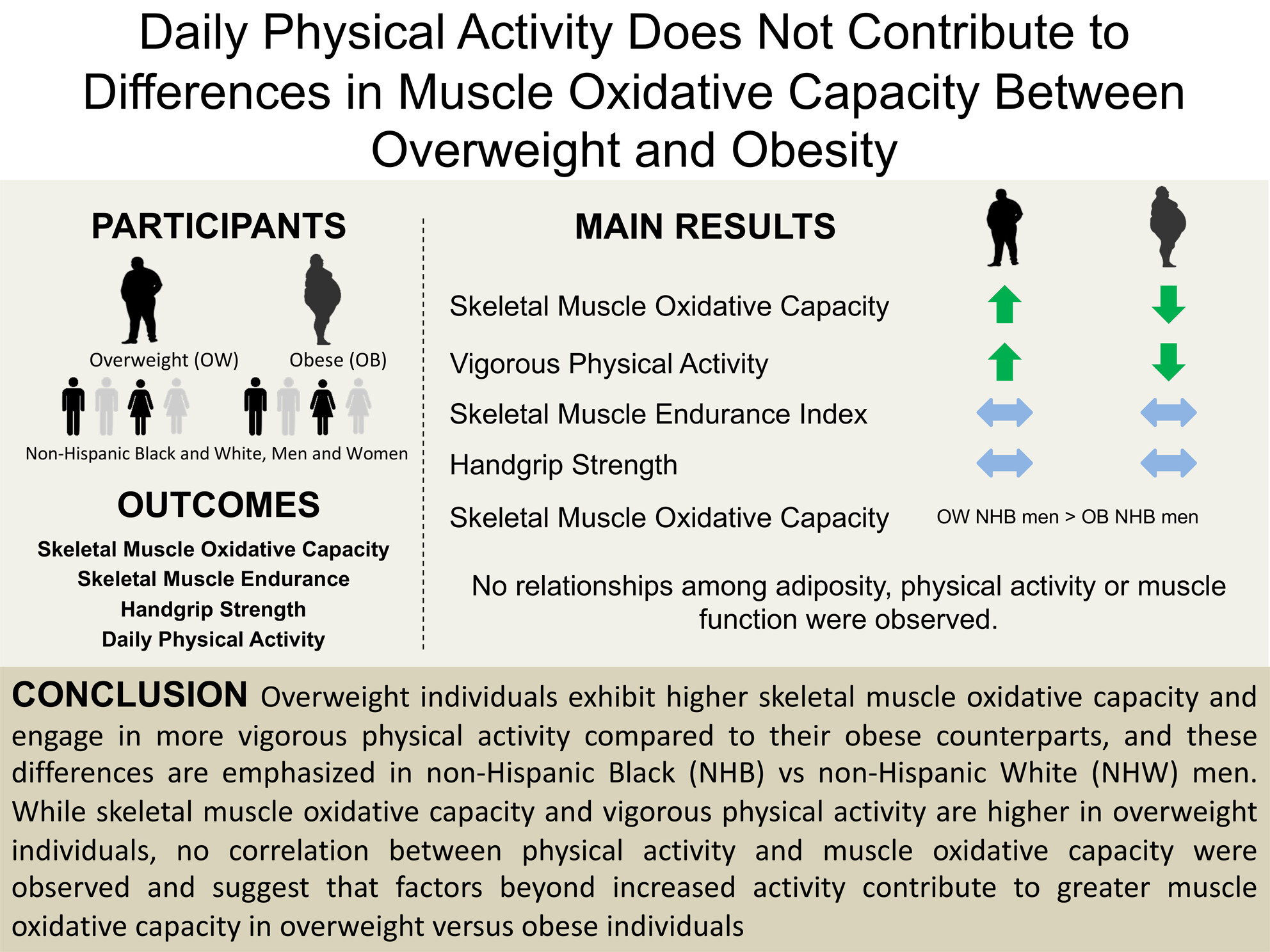 Daily Physical Activity Does Not Contribute to Differences in Muscle Oxidative Capacity Between Overweight and Obesity