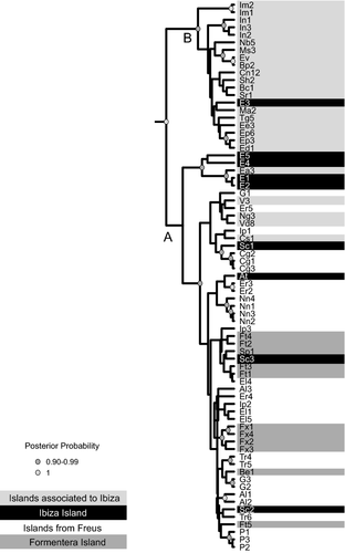 Details are in the caption following the image