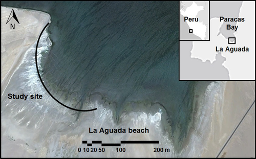 Details are in the caption following the image Details are in the caption following the image