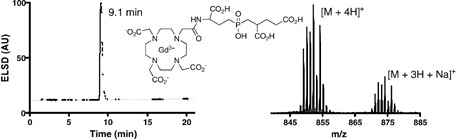 An HPLC/mass spectrometry platform for the development of multimodality contrast agents and targeted therapeutics: prostate-specific membrane antigen small molecule derivatives
