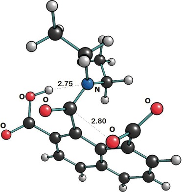 Transforming a Stable Amide into a Highly Reactive One: Capturing the Essence of Enzymatic Catalysis