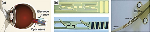 Details are in the caption following the image
