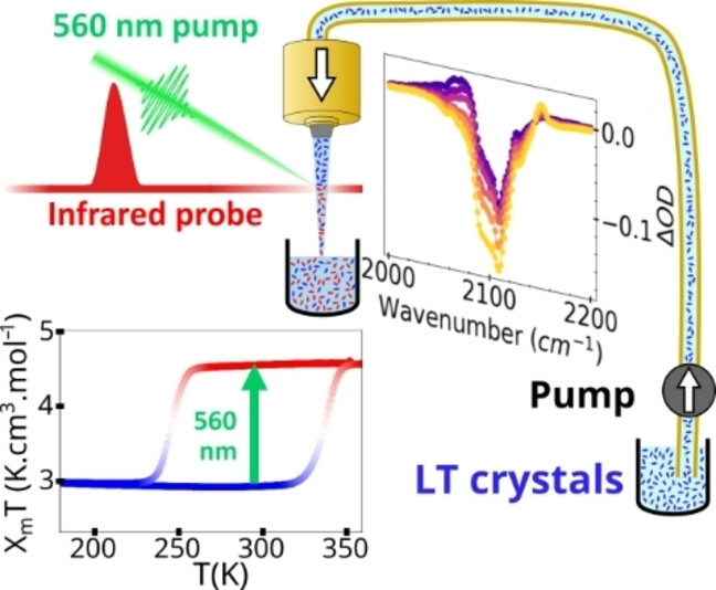 From Ultrafast Photoinduced Small Polarons to Cooperative and Macroscopic Charge-Transfer Phase Transition