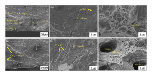 Details are in the caption following the image Details are in the caption following the image