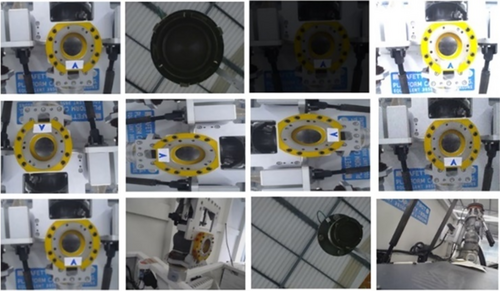 Details are in the caption following the image Details are in the caption following the image