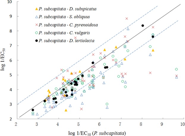Comparison of Chemical Toxicity to Different Algal Species Based on Interspecies Correlation, Species Sensitivity, and Excess Toxicity