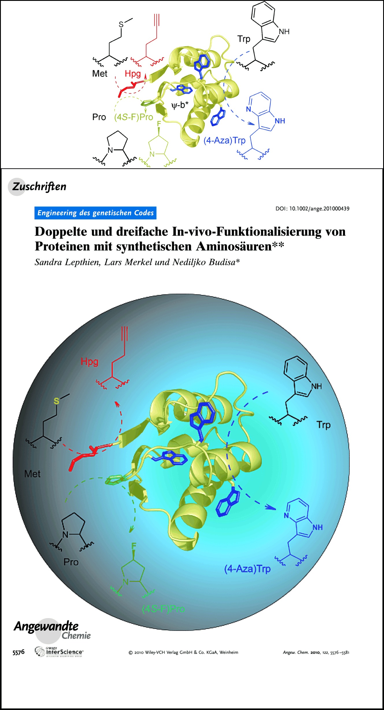 Doppelte und dreifache In-vivo-Funktionalisierung von Proteinen mit synthetischen Aminosäuren