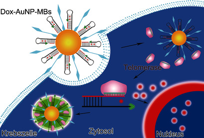 A Telomerase-Specific Doxorubicin-Releasing Molecular Beacon for Cancer Theranostics