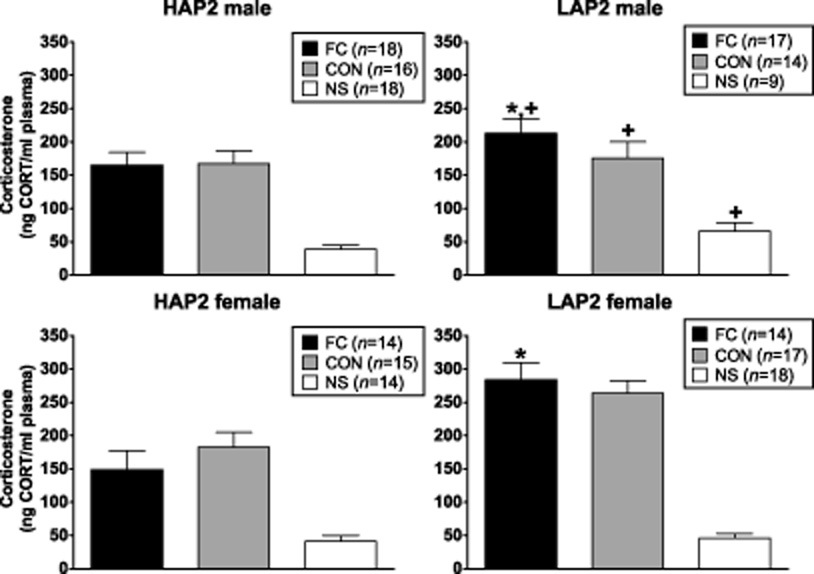 Relation between corticosterone and fear-related behavior in mice selectively bred for high or low alcohol preference
