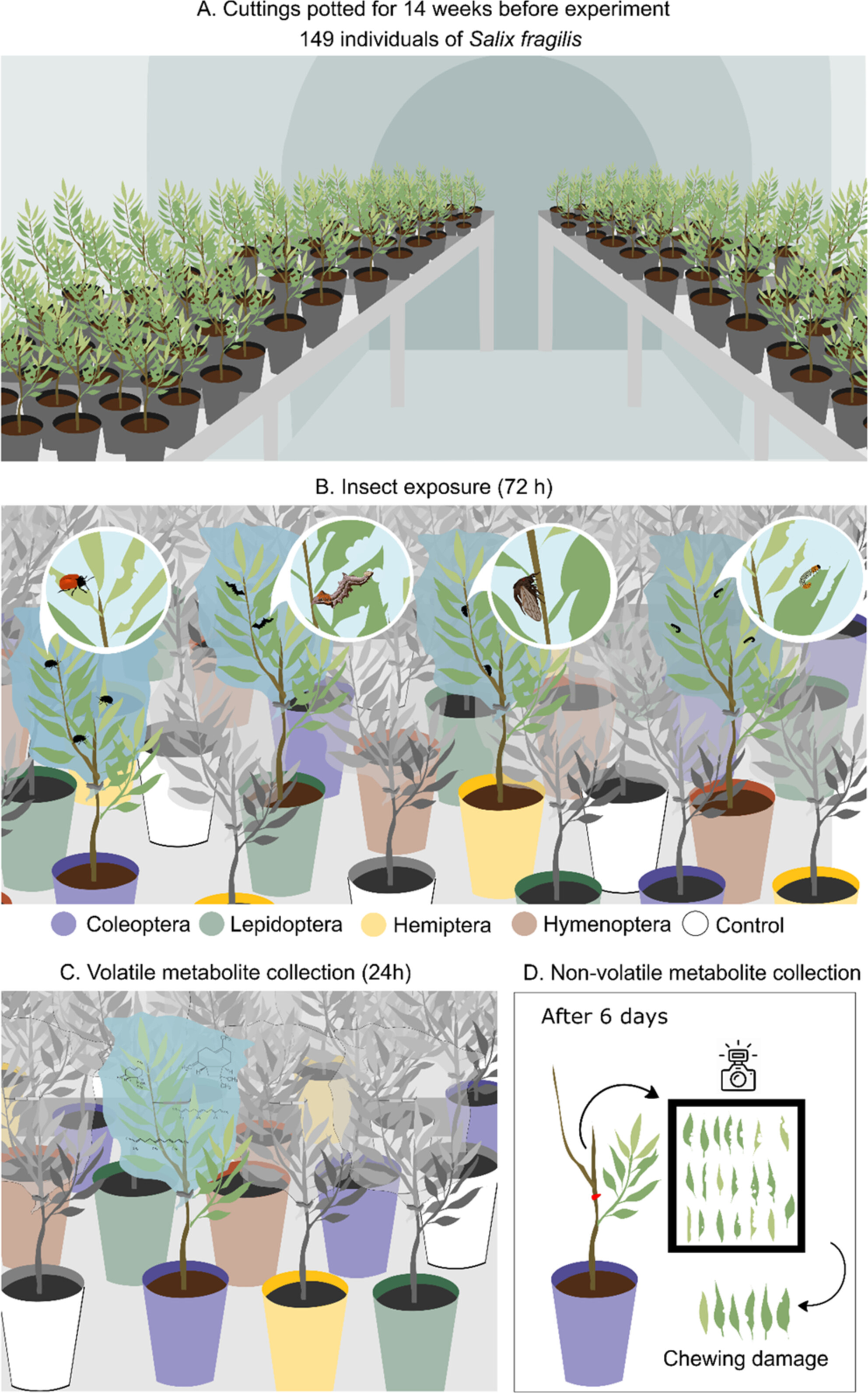 Leaf volatile and nonvolatile metabolites show different levels of specificity in response to herbivory