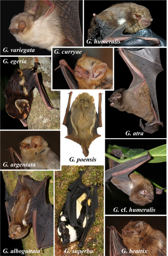 Details are in the caption following the image