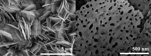 Details are in the caption following the image