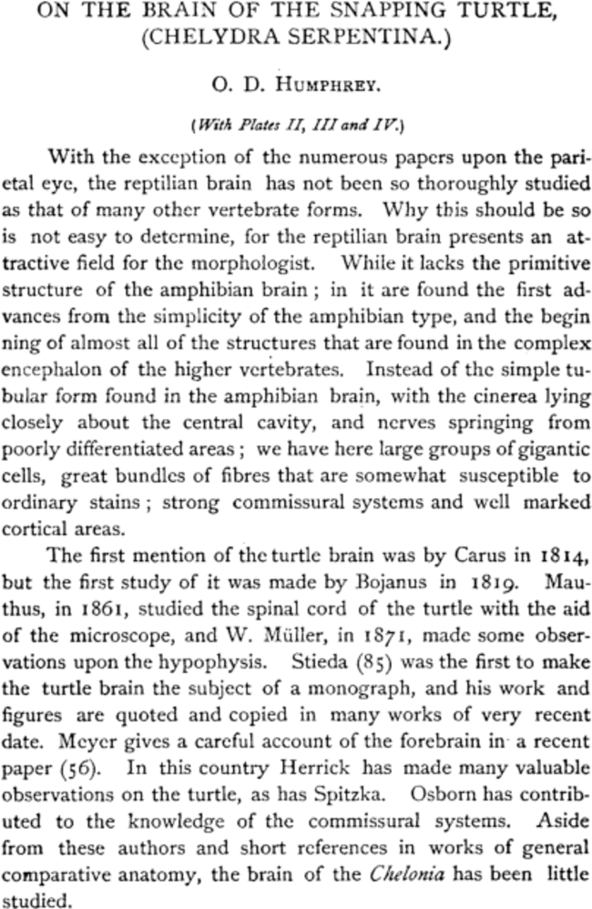 First page image