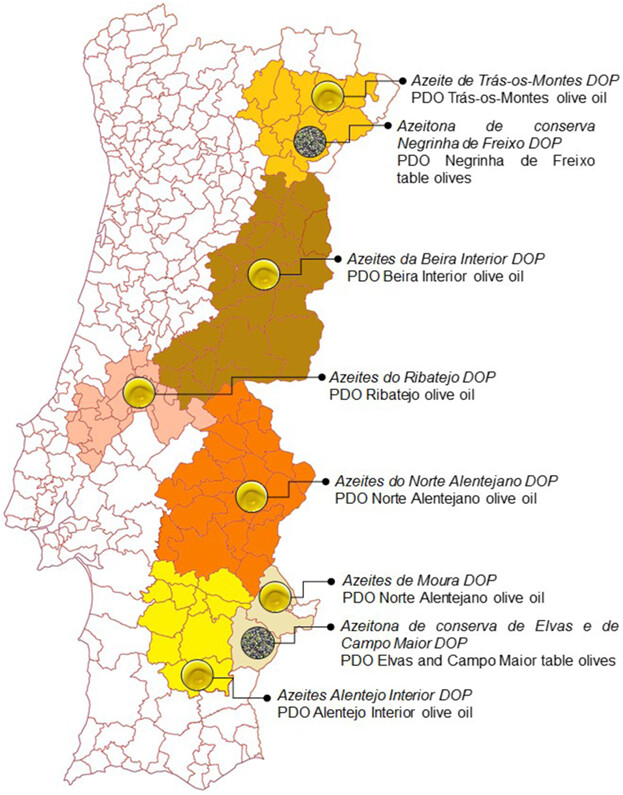 An Overview of Portuguese Olive Oils and Table Olives with Protected Designation of Origin
