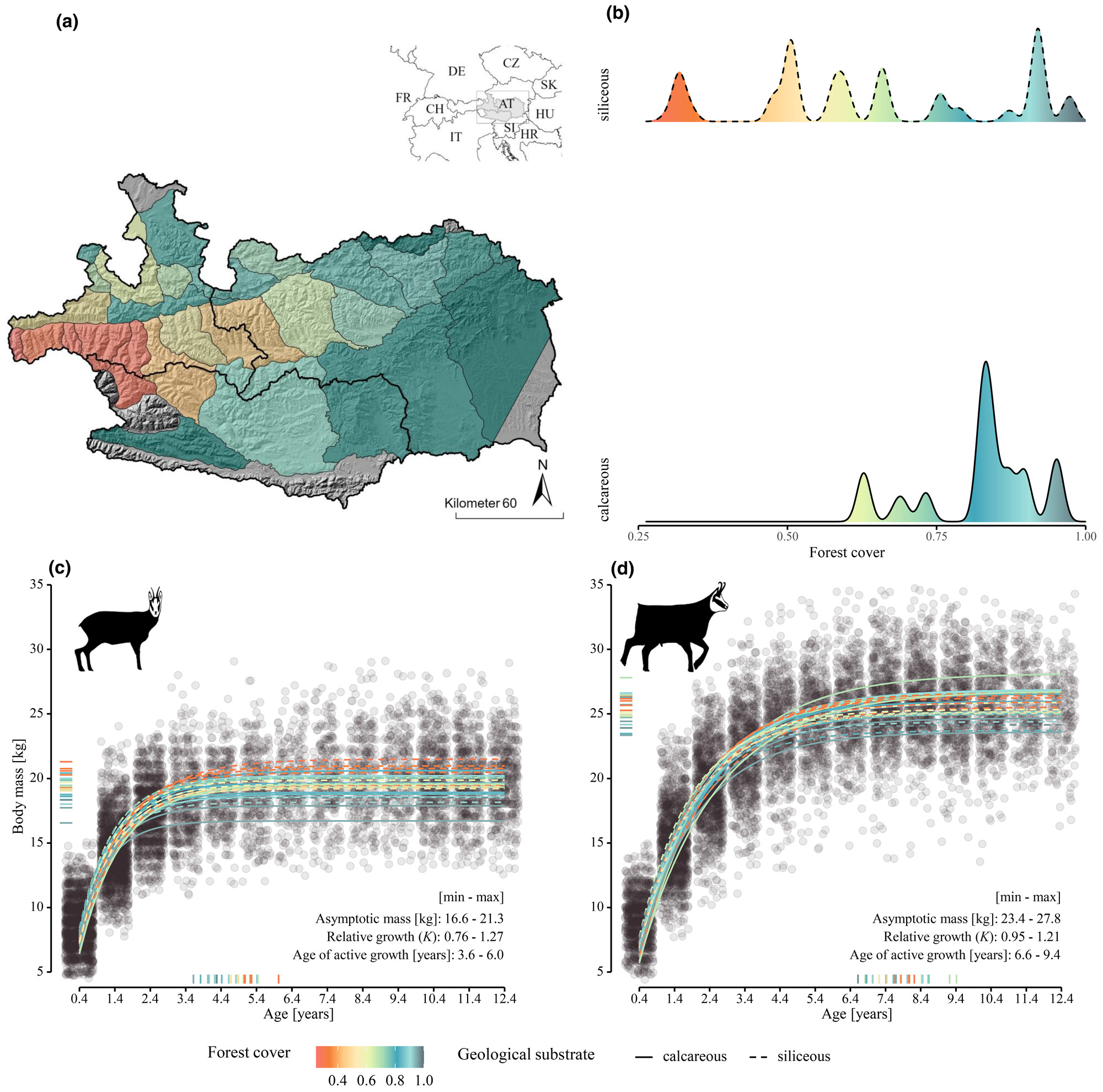 Ecological drivers of sexual size dimorphism in northern chamois