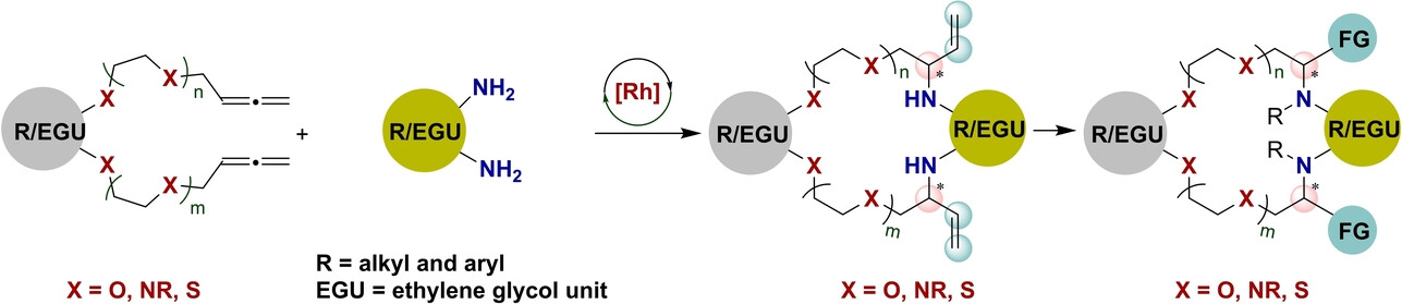 Rhodium-Catalyzed Asymmetric Macrocyclization towards Crown Ethers Using Hydroamination of Bis(allenes)