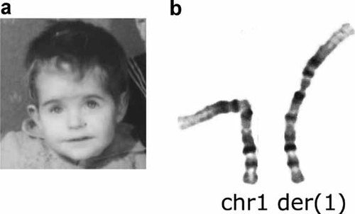 Details are in the caption following the image