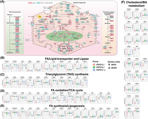 Details are in the caption following the image Details are in the caption following the image