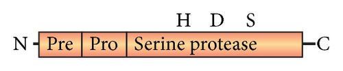 Details are in the caption following the image