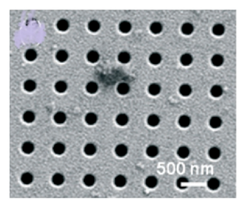 Details are in the caption following the image