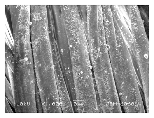 Details are in the caption following the image