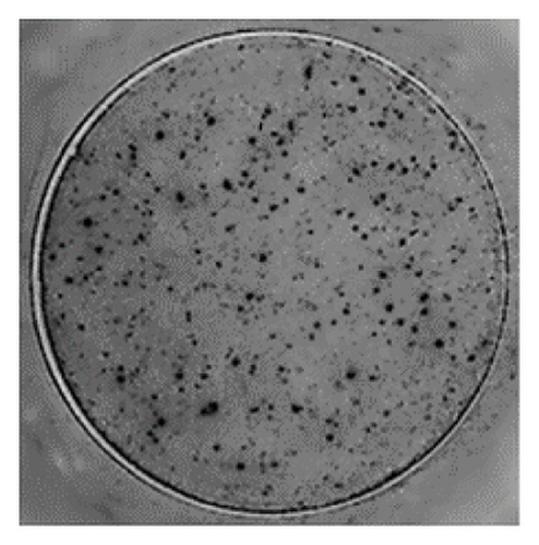 Details are in the caption following the image