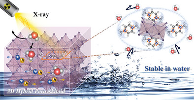 Ultra-stable and Sensitive X-ray Detectors Using 3D Hybrid Perovskitoid Single Crystals