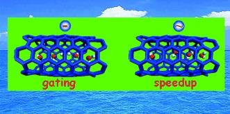 Electromanipulating Water Flow in Nanochannels