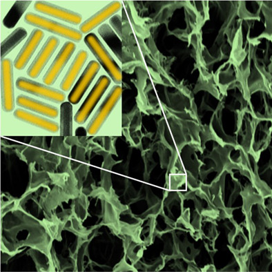Optically activated and interrogated plasmonic hydrogels for applications in wound healing