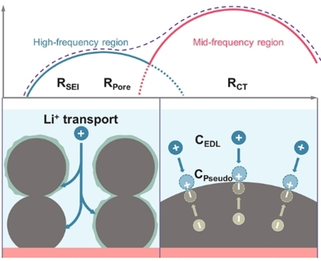 Revisiting the Electrochemical Impedance Spectroscopy of Porous Electrodes in Li-ion Batteries by Employing Reference Electrode