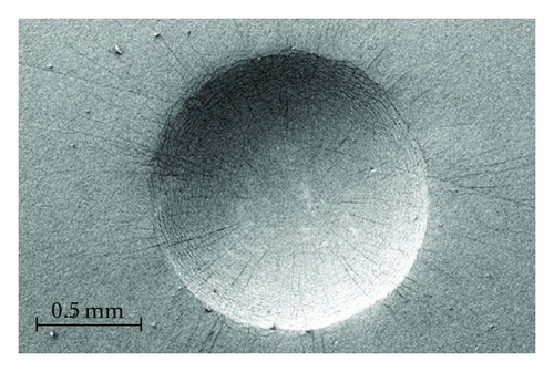 Details are in the caption following the image
