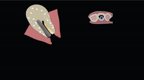 Details are in the caption following the image Details are in the caption following the image