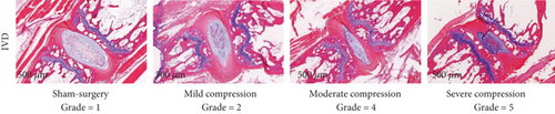 Details are in the caption following the image Details are in the caption following the image
