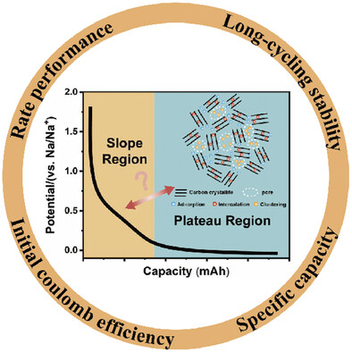 Noncrystalline Carbon Anodes for Advanced Sodium-Ion Storage