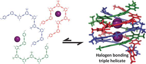 A Halogen-Bond-Induced Triple Helicate Encapsulates Iodide