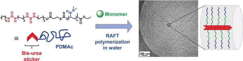 Templated PISA: Driving Polymerization-Induced Self-Assembly towards Fibre Morphology