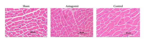 Details are in the caption following the image