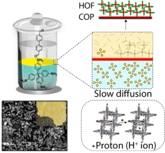 Chemically Gradient Hydrogen-Bonded Organic Framework Crystal Film