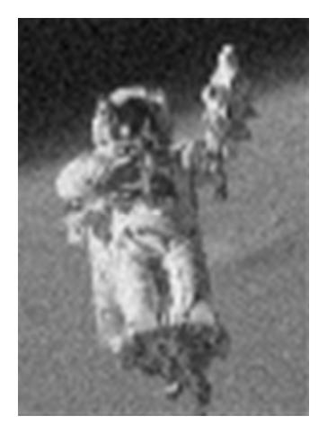 Details are in the caption following the image
