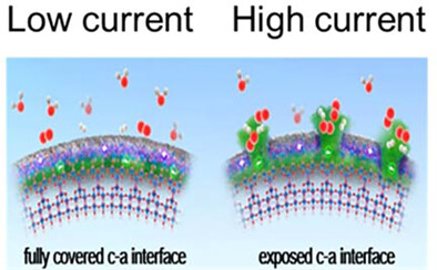 Strategy to utilize amorphous phase of semiconductor toward excellent and reliable photochemical water splitting performance: Roles of interface dipole moment and reaction parallelization
