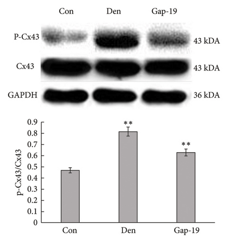 Details are in the caption following the image