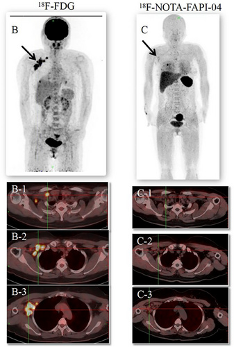 Details are in the caption following the image Details are in the caption following the image