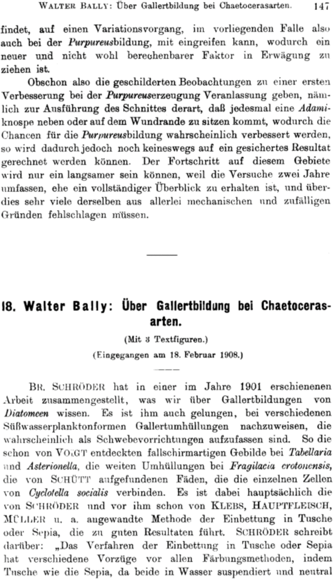First page image