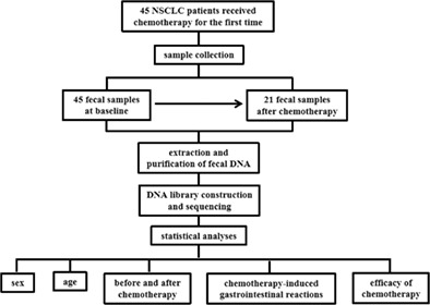 Intestinal flora characteristics of advanced non-small cell lung cancer in China and their role in chemotherapy based on metagenomics: A prospective exploratory cohort study