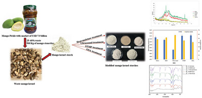 Modified Starch from Mango Pickling Industry Waste: Comparison of Physical and Chemical Modification